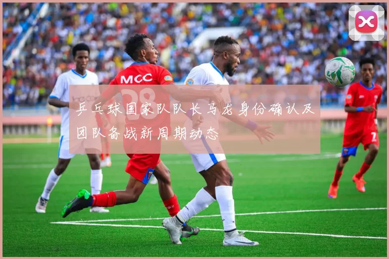 乒乓球国家队队长马龙身份确认及团队备战新周期动态