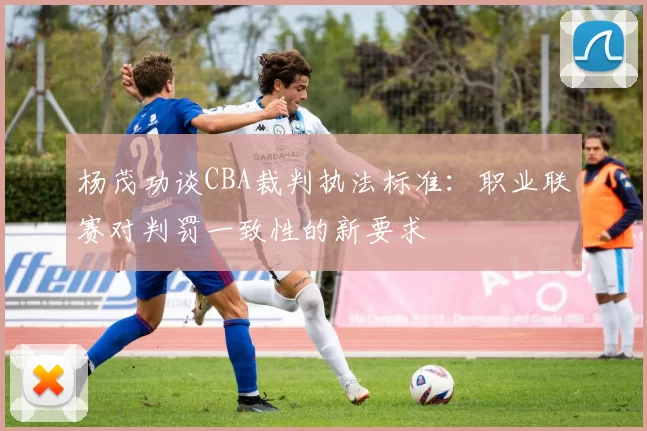 杨茂功谈CBA裁判执法标准：职业联赛对判罚一致性的新要求