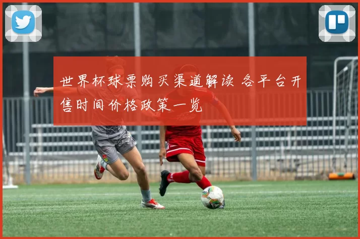 世界杯球票购买渠道解读 各平台开售时间价格政策一览