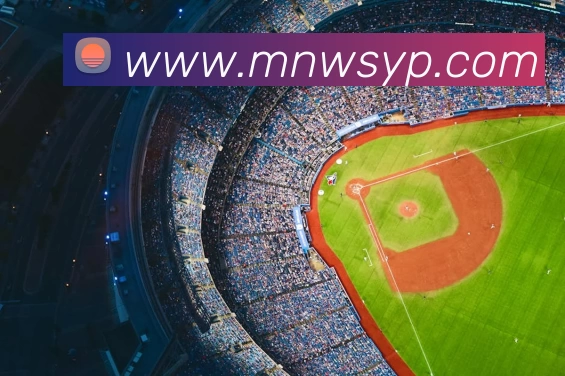 星空体育首页登录入口发展历程